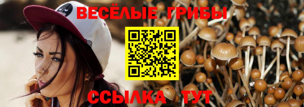 Новочебоксарск  Псилоцибиновые грибы Psilocybine cubensis  Вход с VPN 